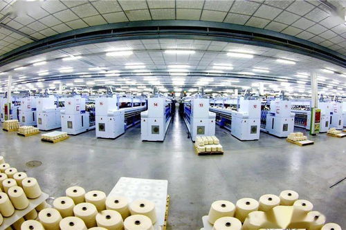 齐鲁启新程系列报道之二 岱银 向 全球化纺织服装综合服务提供商 华丽转型