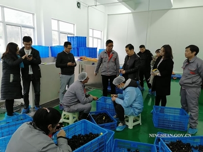 宁陕县城关镇工业经济快速发展
